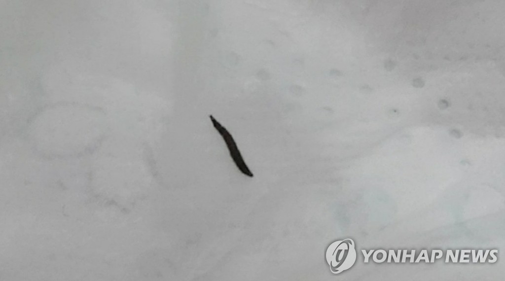 서울 양천구 수돗물서 발견된 유충