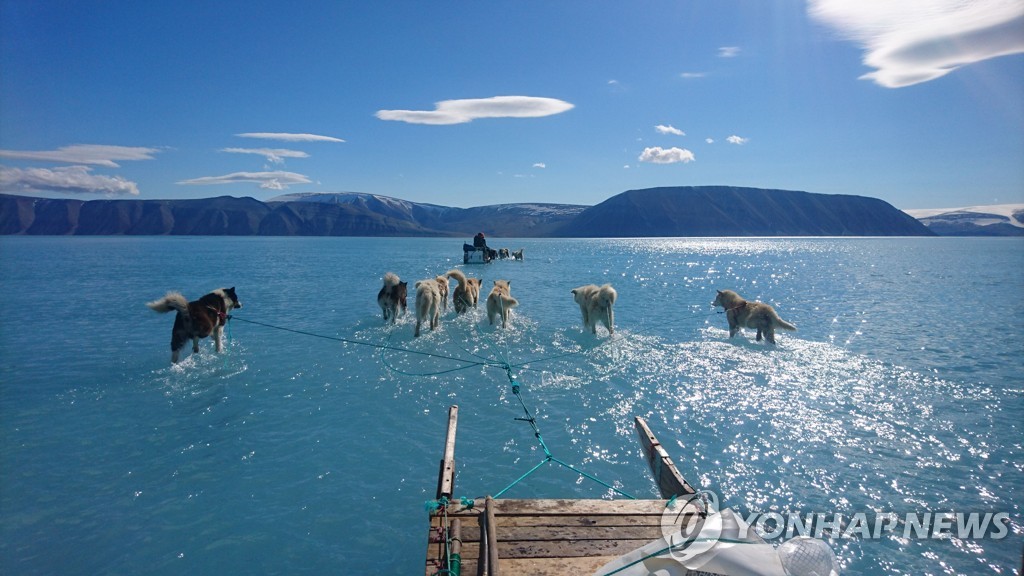 물속을 달리는 썰매개…′凍土′ 그린란드 위기 알린 ′한 컷′
