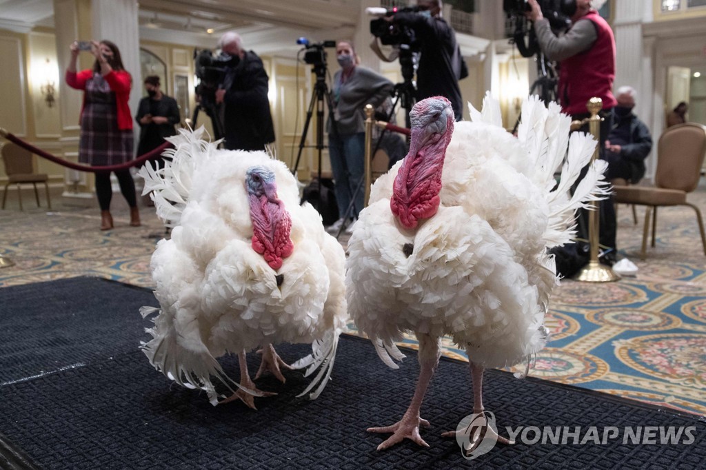 US-HOLIDAY-ANIMAL