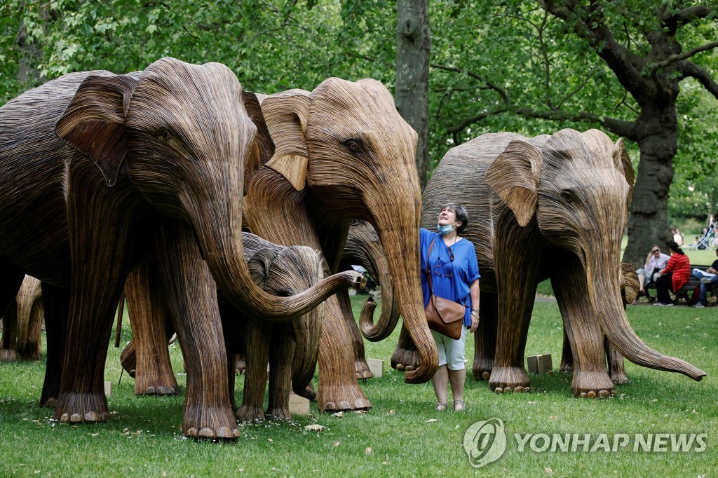 BRITAIN-ENVIRONMENT-ELEPHANT