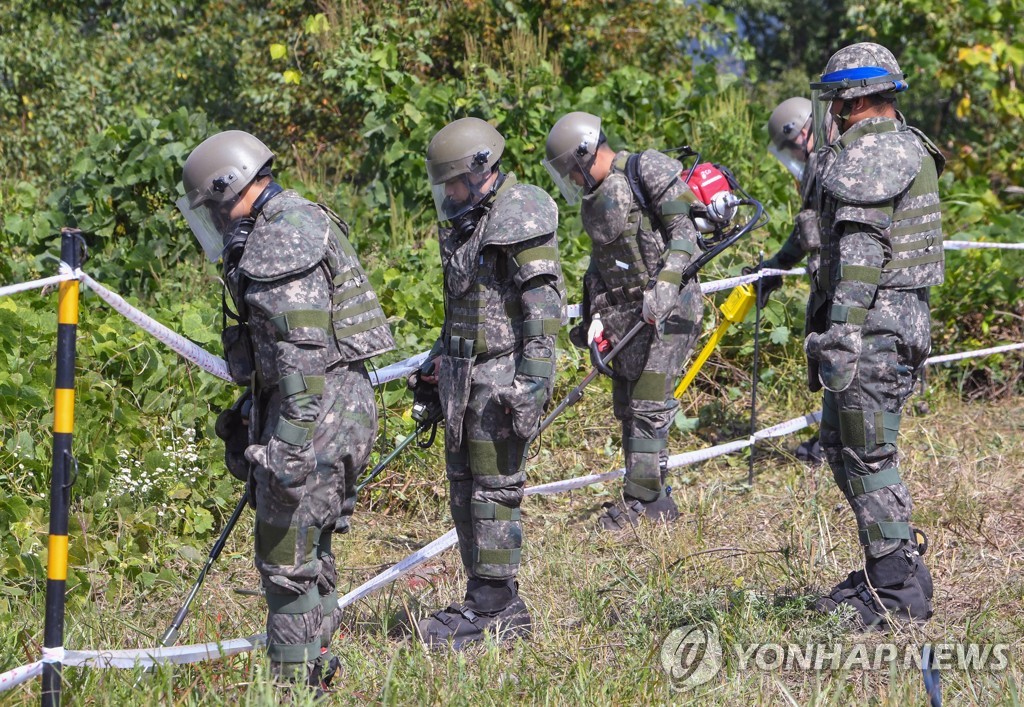 육군, 철원 DMZ 일대 지뢰제거 작업 시작