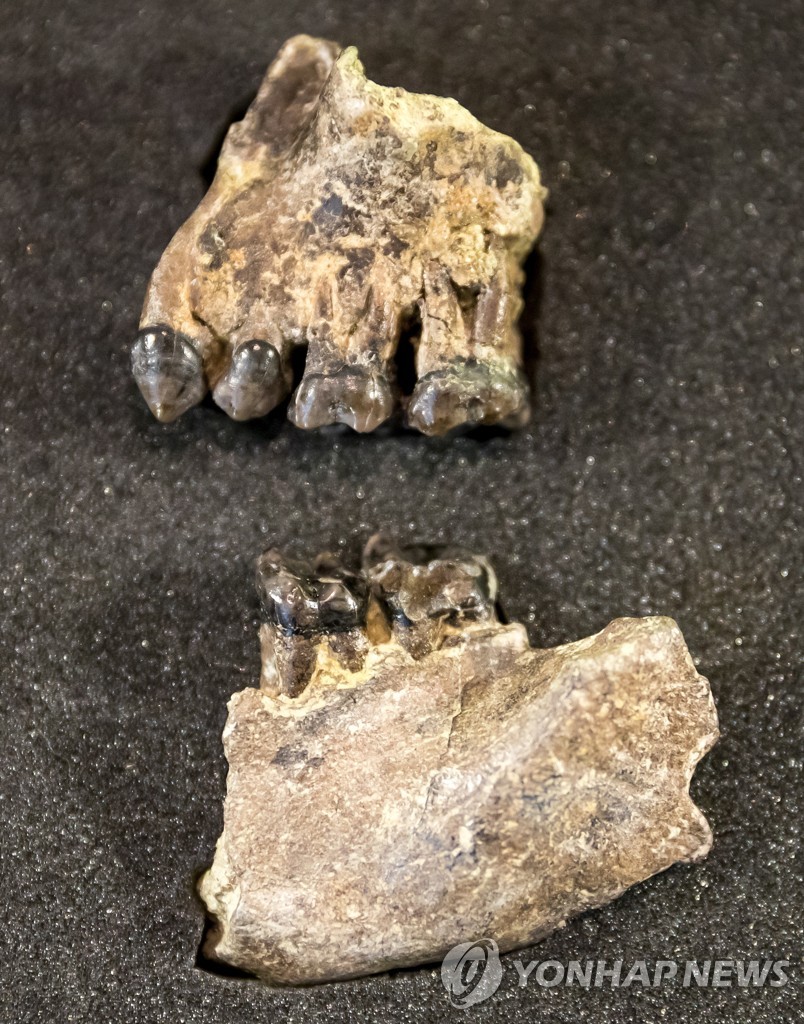 GERMANY ARCHEOLOGY