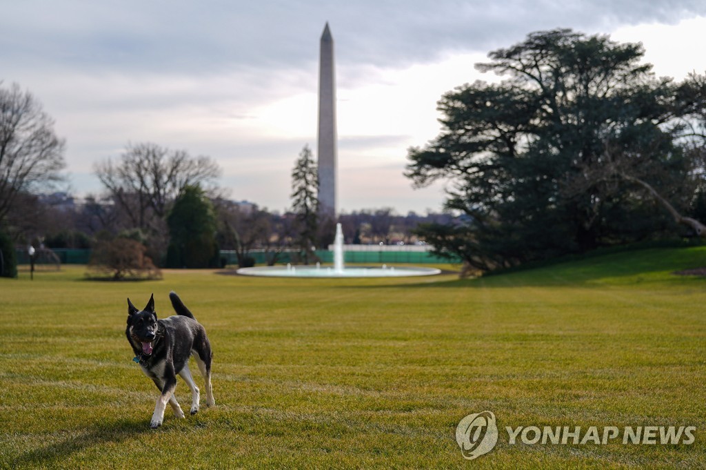 USA WHITE HOUSE BIDEN FIRST DOGS