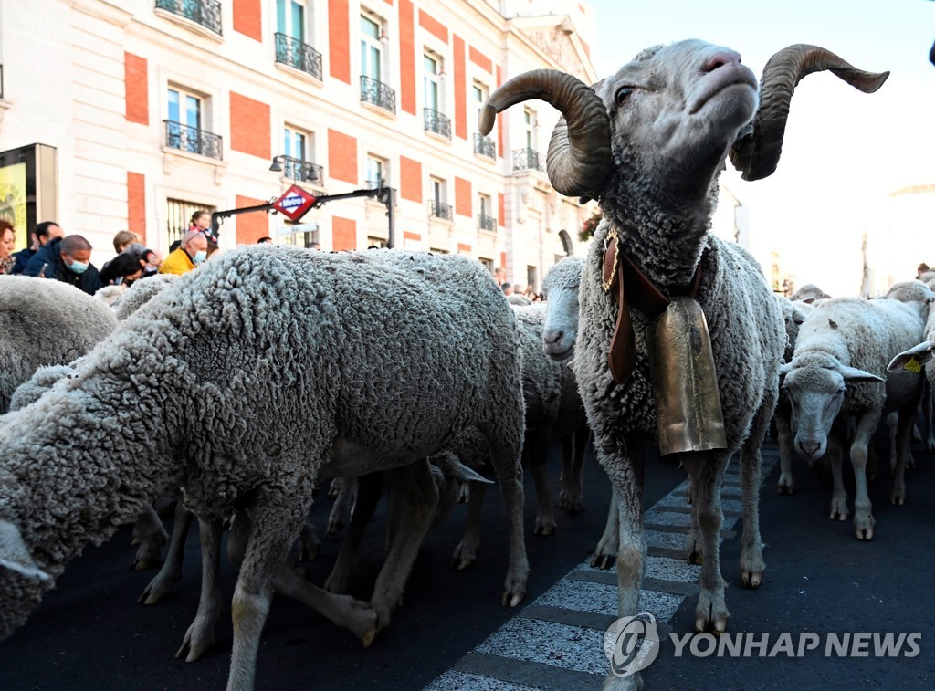 SPAIN TRADITIONS