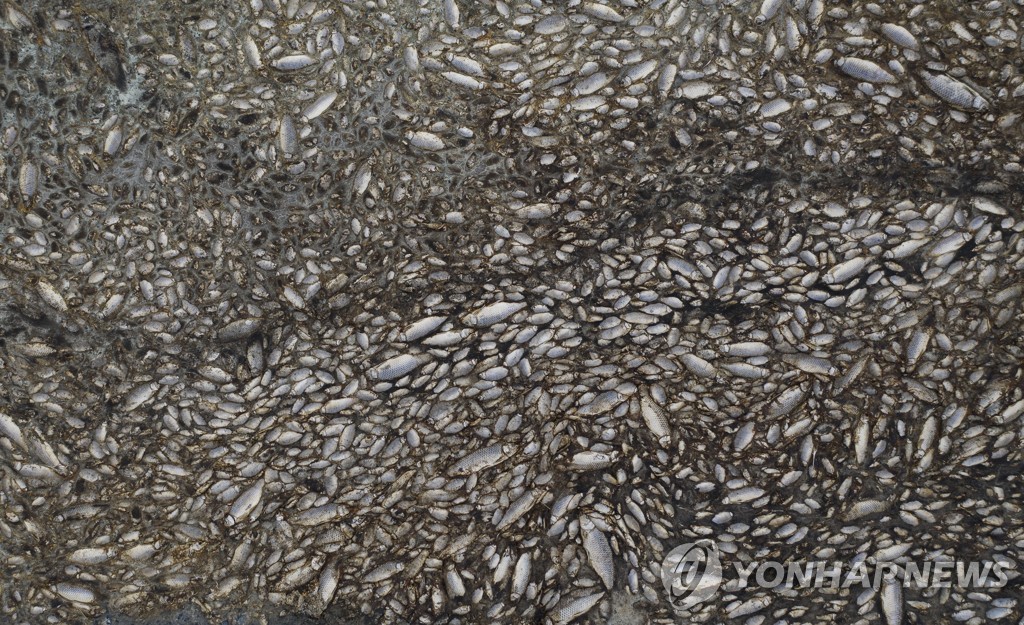 GREECE-THESSALONIKI-KORONEIA LAKE-DROUGHT