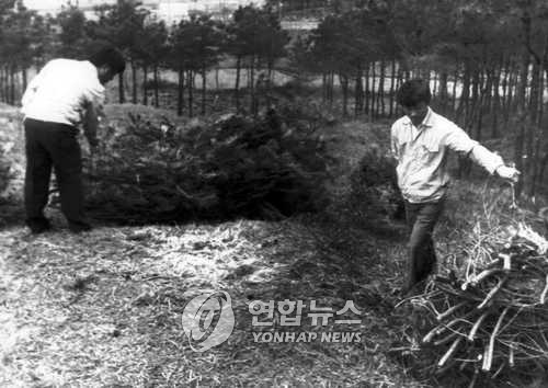실종된 박은주씨 사체 발견