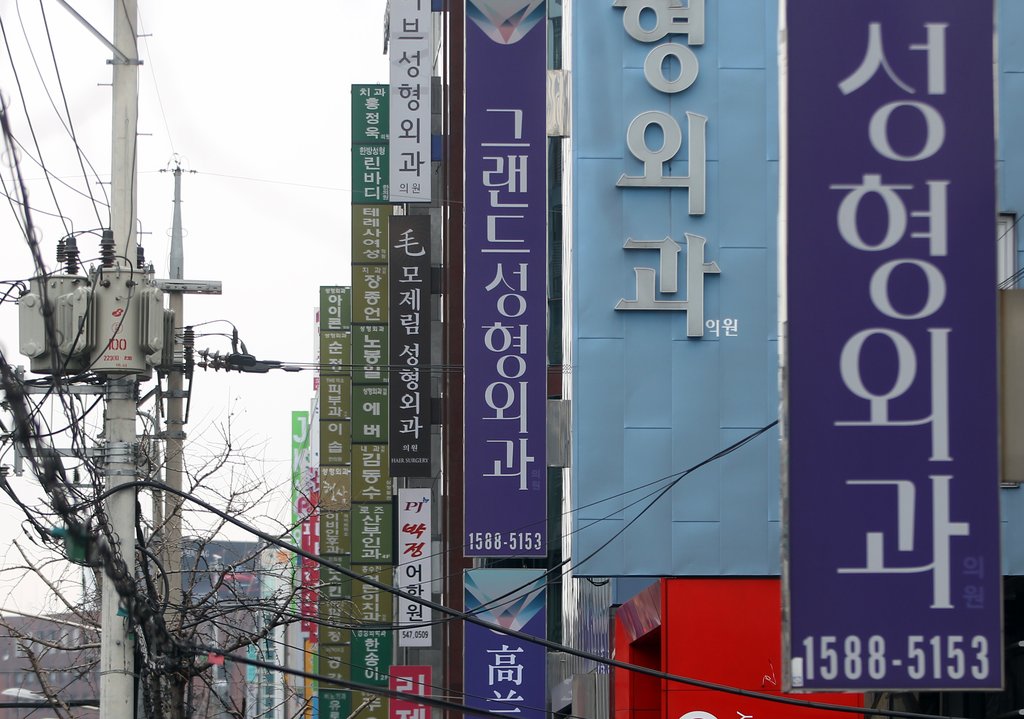 서울 강남구 압구정동 일대 성형외과