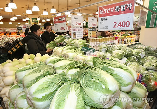 서울의 한 마트를 찾은 시민이 배추를 고르고 있다.(자료사진)