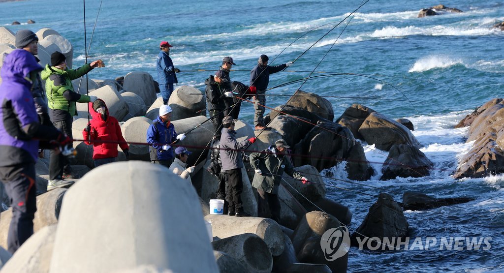 도루묵 풍어…낚시객 북적