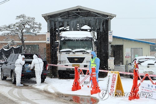 '방역 철저' 고창 구제역 발생 농가