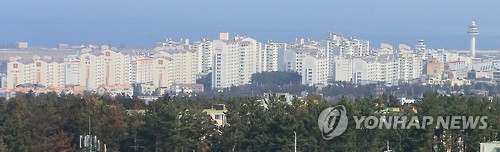 제주 도심