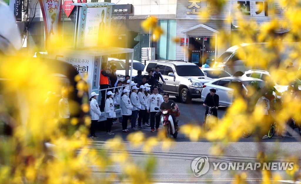 <총선> 봄, 개나리와 선거의 계절