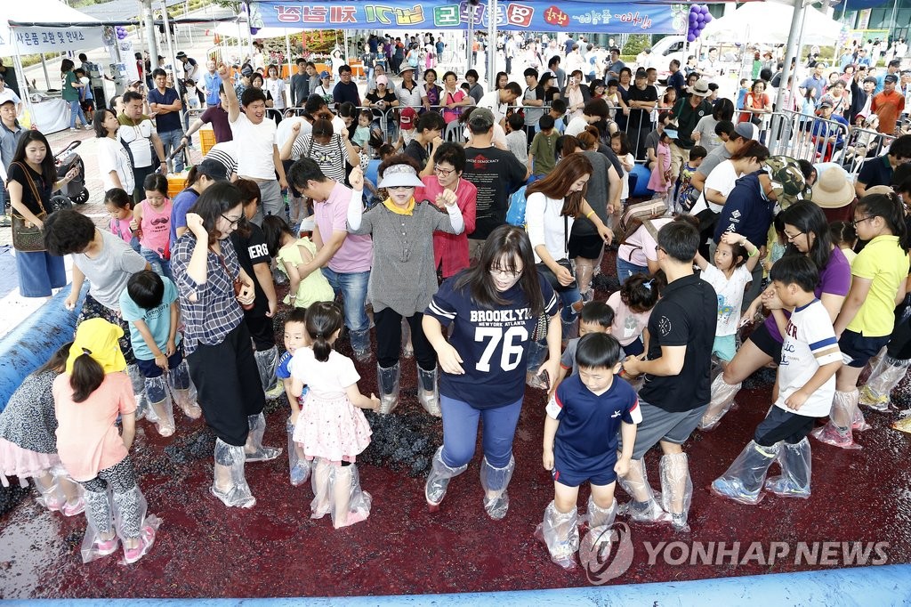2016 영동포도축제