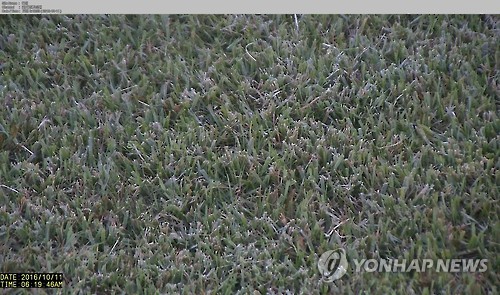 올가을 들어 철원지역에 내린 첫서리