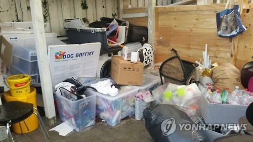모두 떠나 버린 정유라 덴마크 거주지