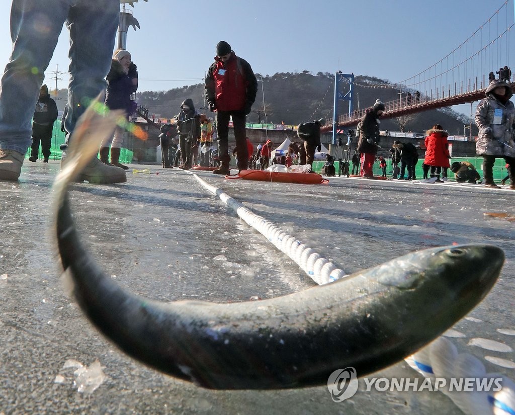 화천산천어축제 메인 얼음낚시