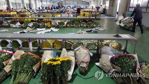 꽃 특수 졸업철 맞나…썰렁한 화훼 공판장