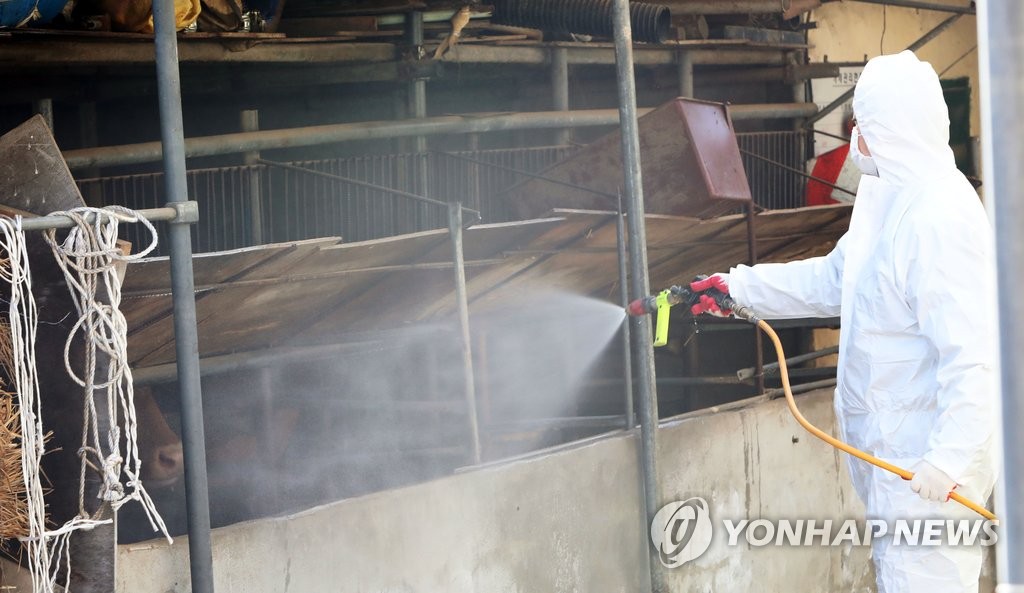 구제역 방역 비상