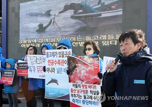 "돌고래 수입 중단하라"