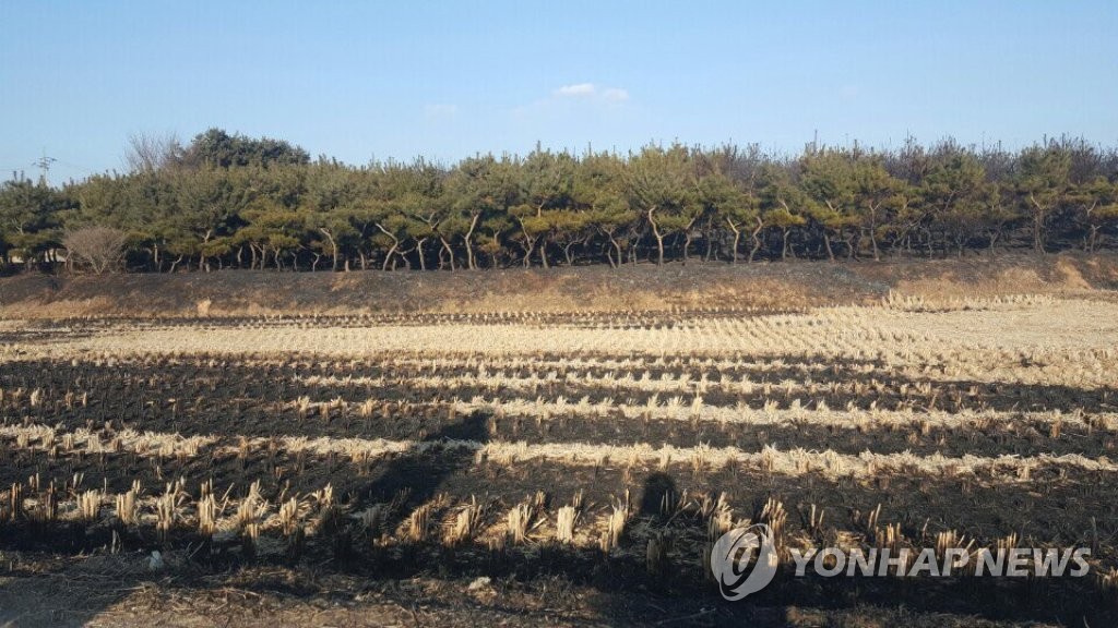 용인 야산서 불…80대 1명 숨져