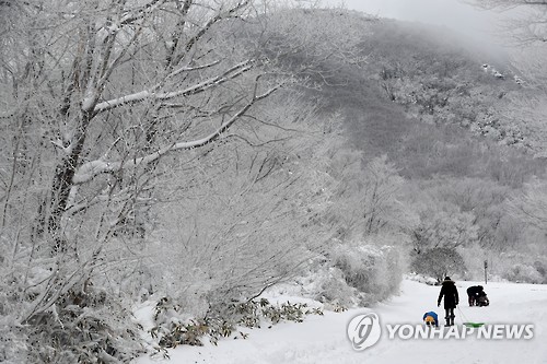 '폭설 정취'
