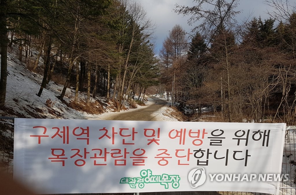 구제역 때문에 문 닫은 대관령 양떼목장