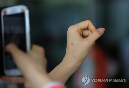 내가 행사한 한표'
