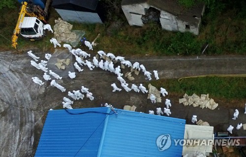 AI 총력 대응 나선 제주도