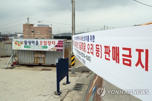 기장군 오일장 AI 직격탄