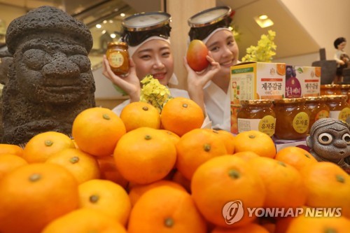 제주 감귤