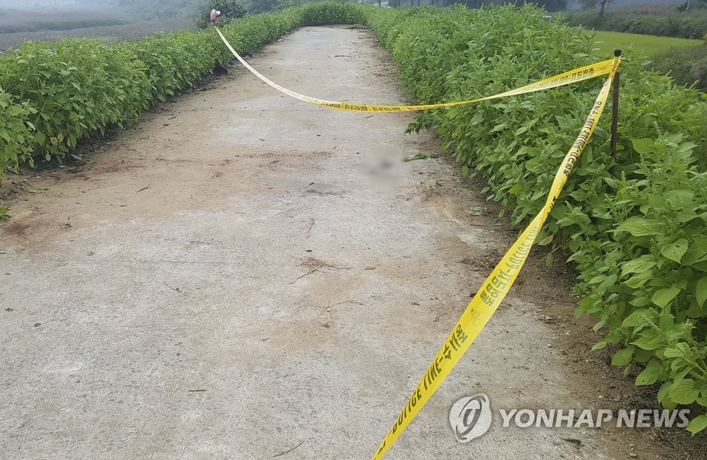 청주 하천 둑길서 나체 여성 시신 발견