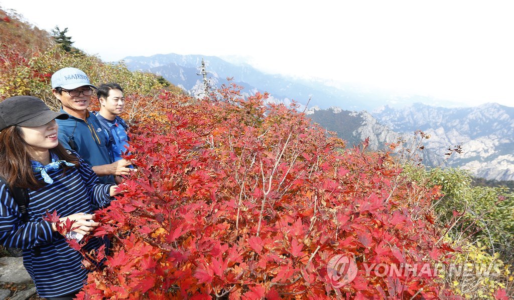 가을로 물드는 설악산
