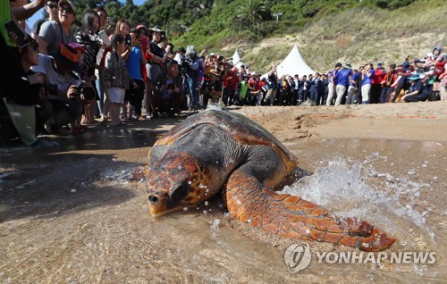 '다시 고향으로'