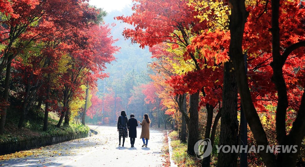 지리산 단풍