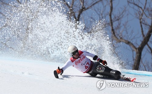 정선 알파인경기장에서 진행 중인 알파인스키 경기 장면