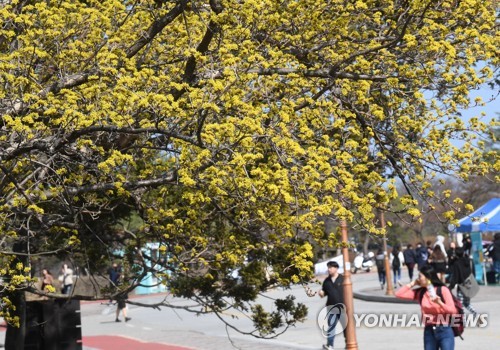 캠퍼스에 찾아온 봄