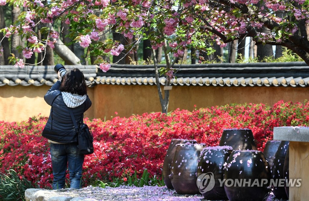 가는 봄이 아쉬워