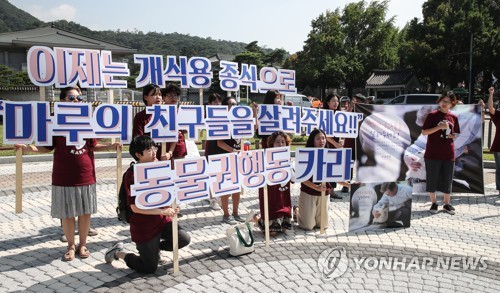동물권행동 '카라', 개식용 종식 촉구