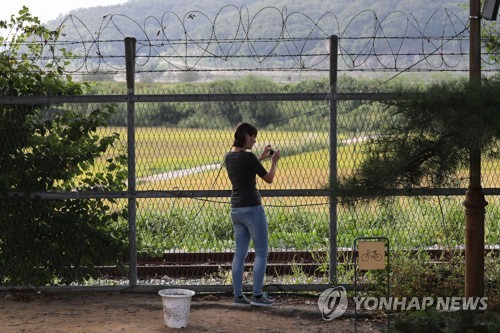 임진강변의 황금 들녘