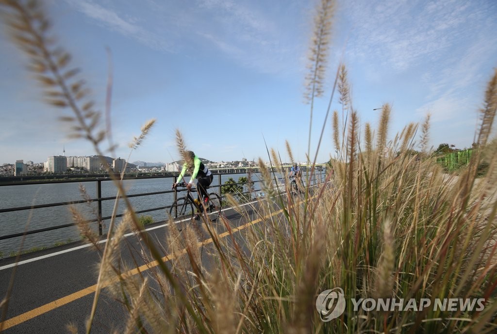 가을 만끽