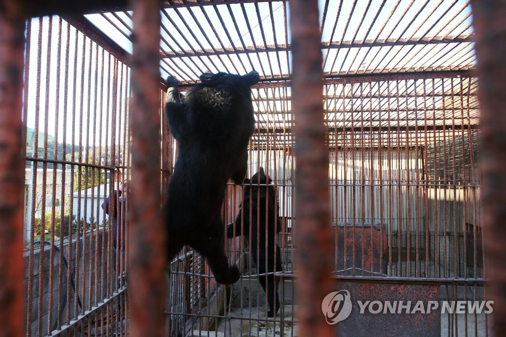 '사육장 철창에서 벗어나고 싶다'