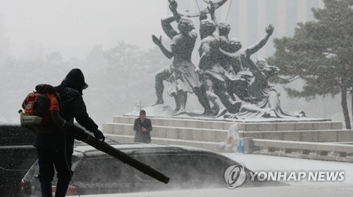 눈 내리는 국회