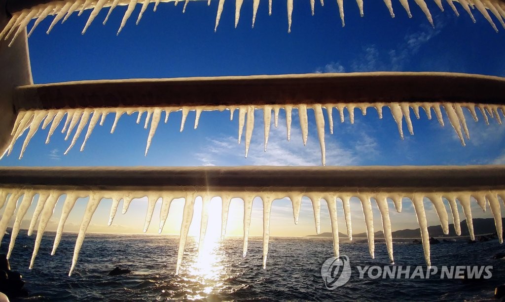 '한파에 바닷물도 고드름으로'