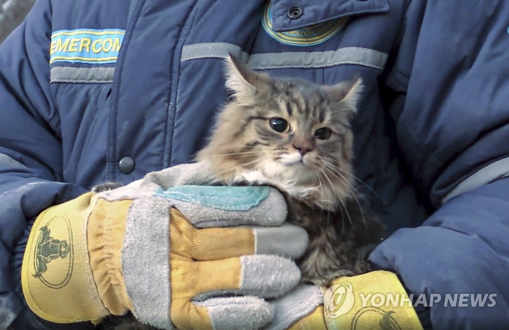 "살아 있었구나"…러' 아파트 붕괴현장서 구조된 고양이
