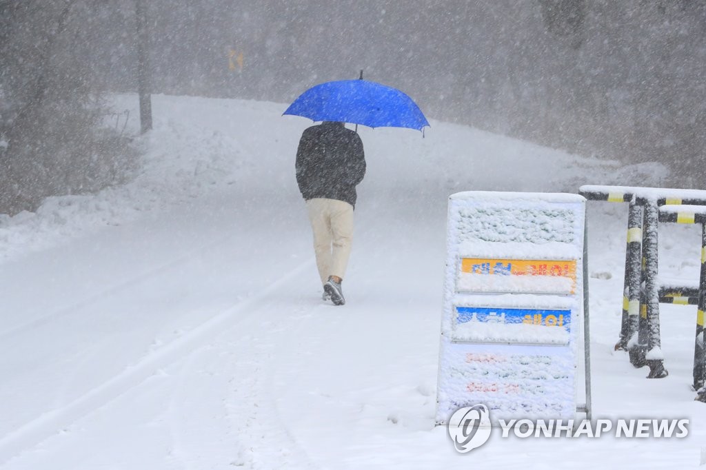 제주도 산지 대설주의보