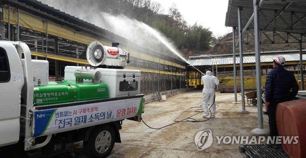 "구제역 막아라…방역이 최선"