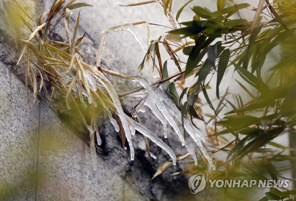 추위가 만든 고드름