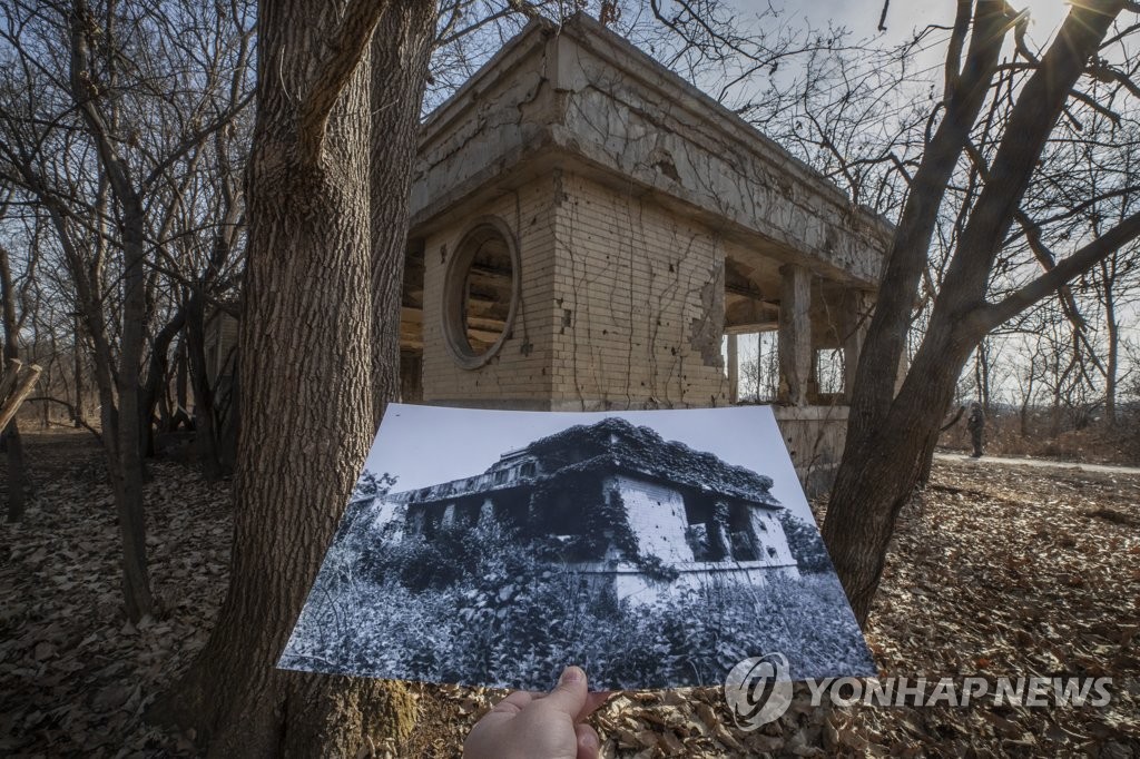 전쟁의 상처 뒤로 자란 나무들