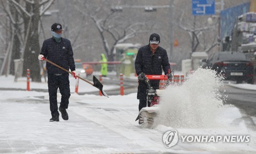 눈 내리는 국회