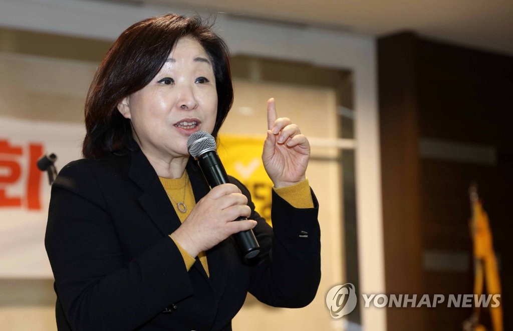 심상정 정치개혁특별위원회 위원장